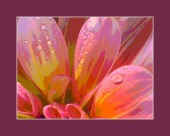 toxic epidermal necrosis image healthtips images